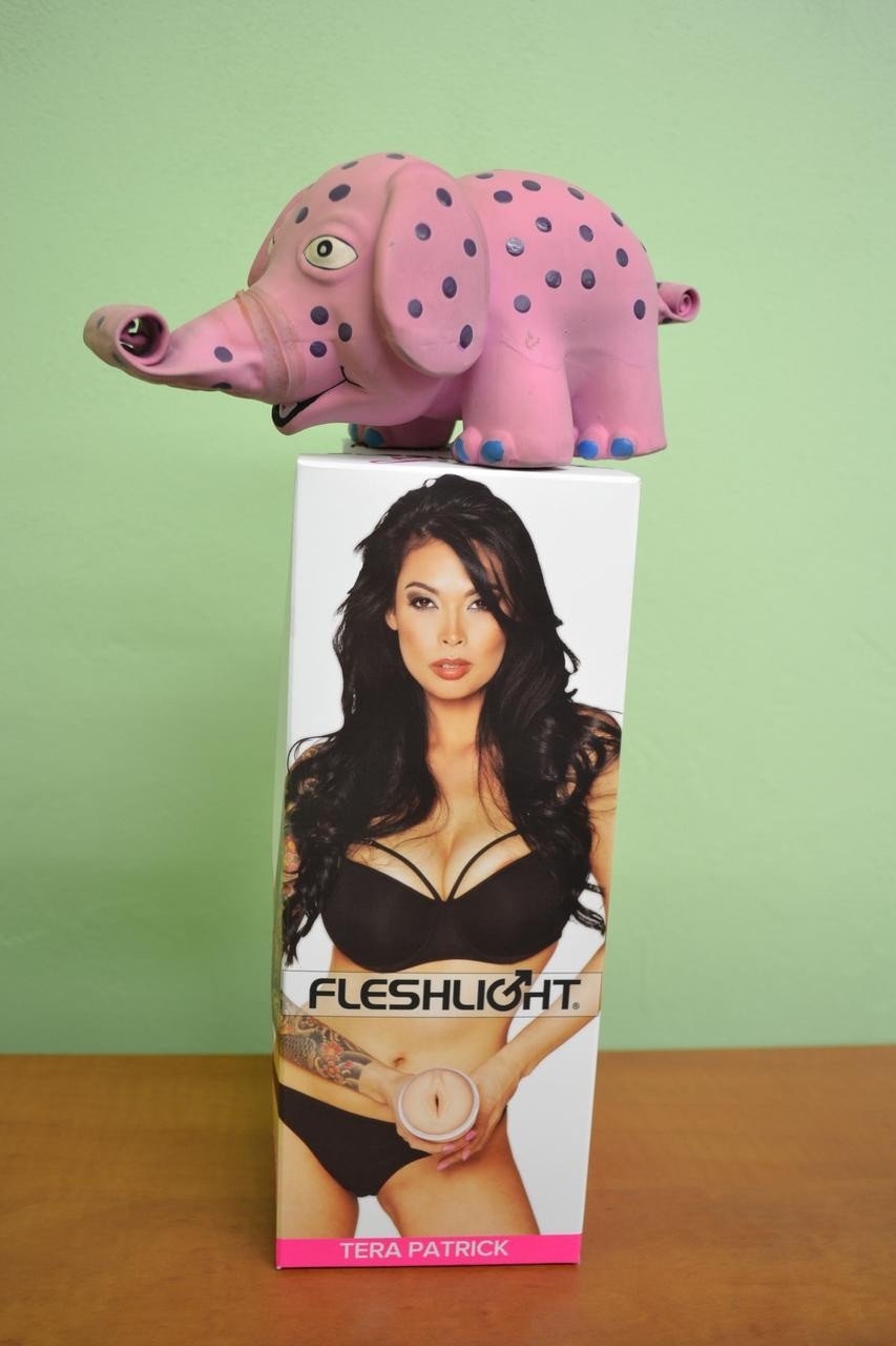 Vagína Fleshlight Tera Patrick Lotus