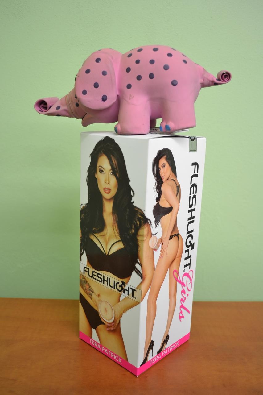 Vagína Fleshlight Tera Patrick Lotus