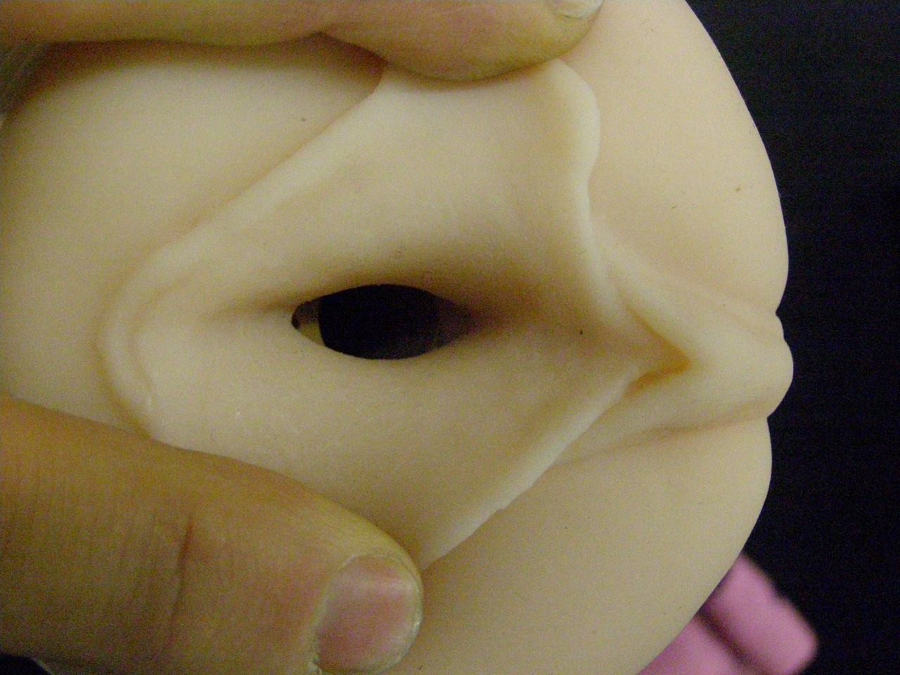 Vagína Fleshlight Tera Patrick Lotus