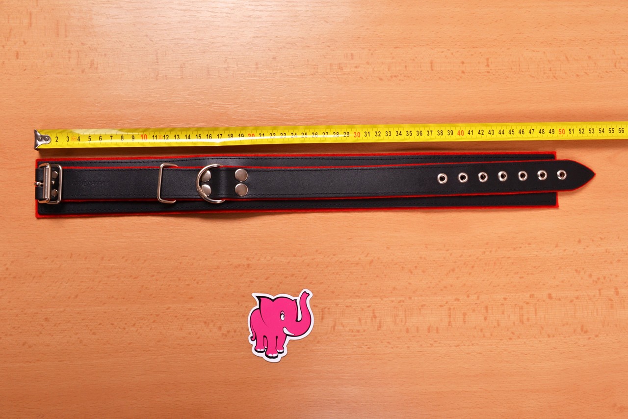 Kožený obojek na krk – měříme délku obojku