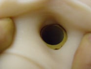 Vagína Fleshlight Tera Patrick Lotus