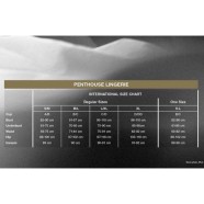 Penthouse Libido boost erotická košilka black