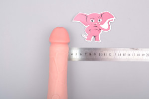 Realistický vibrátor s přísavkou z dvojitého silikonu Pipedream King Cock Nice Guy, rozměry